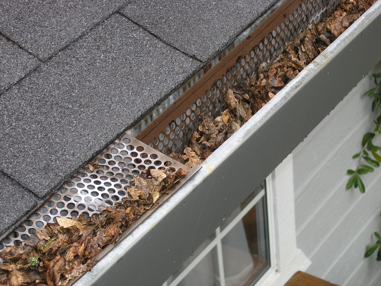 Gutter Service services