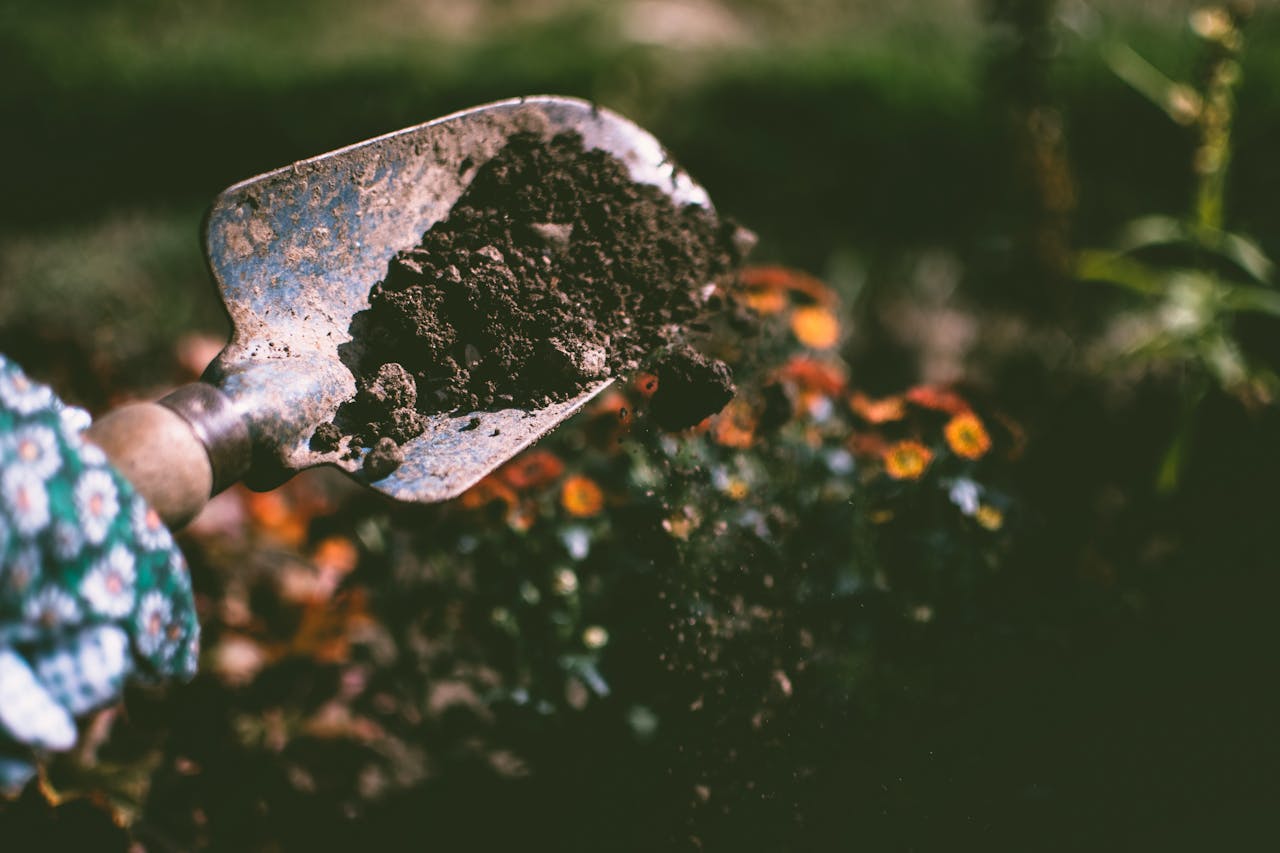 Landscaping services