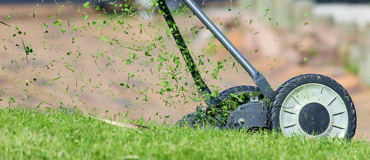 Lawn Care services